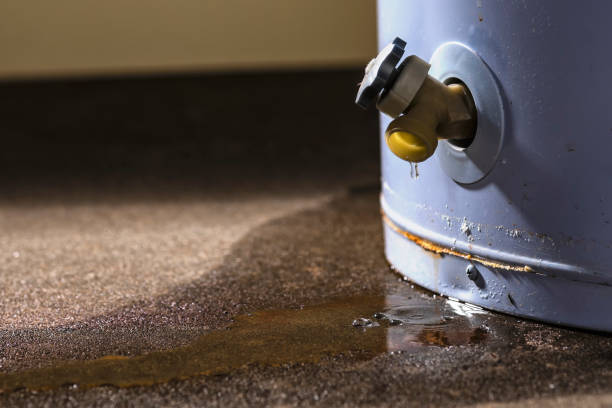 Best Fire Damage Restoration  in Piney Green, NC