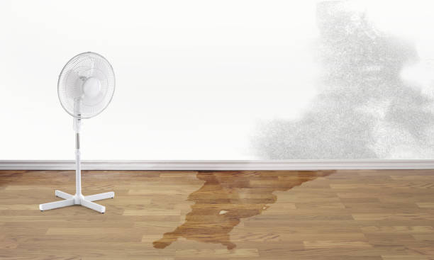 Water damage restoration mold remediation in Piney Green, NC