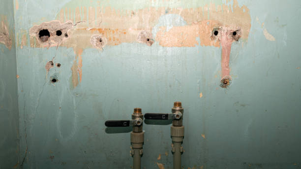  Piney Green, NC Water damage restoration Pros