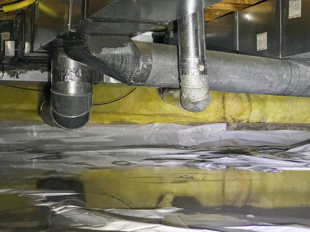 Best Professional water damage repair  in Piney Green, NC