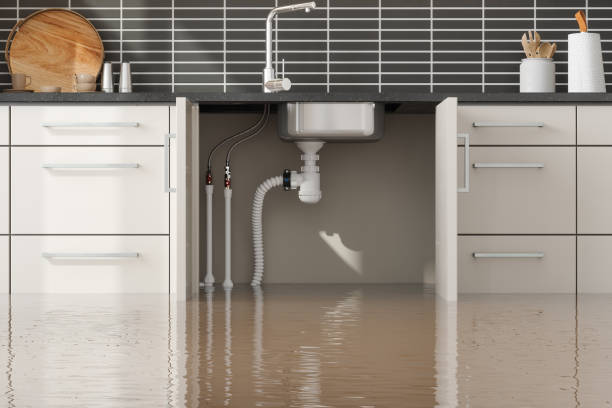Best Water damage repair service  in Piney Green, NC