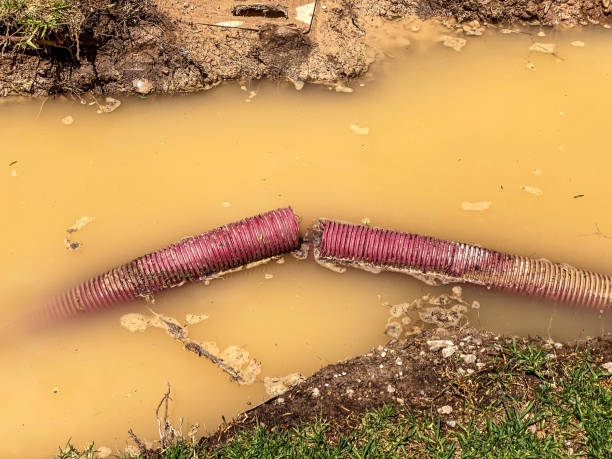Best Flood damage cleanup  in Piney Green, NC