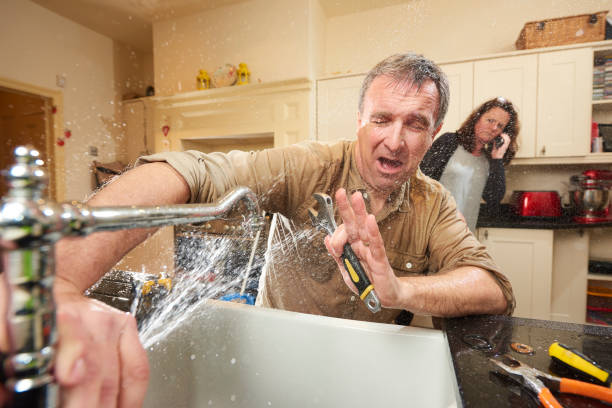 Best Carpet water damage restoration  in Piney Green, NC
